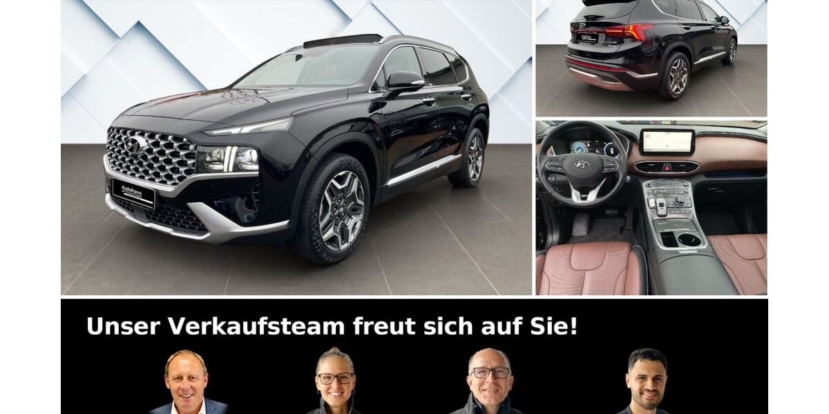 Hyundai SANTA FE 96.900 km 28.880 € Ingelheim 55218