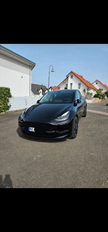 Model Y