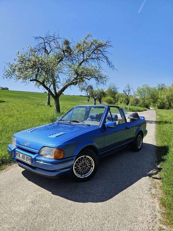 Escort