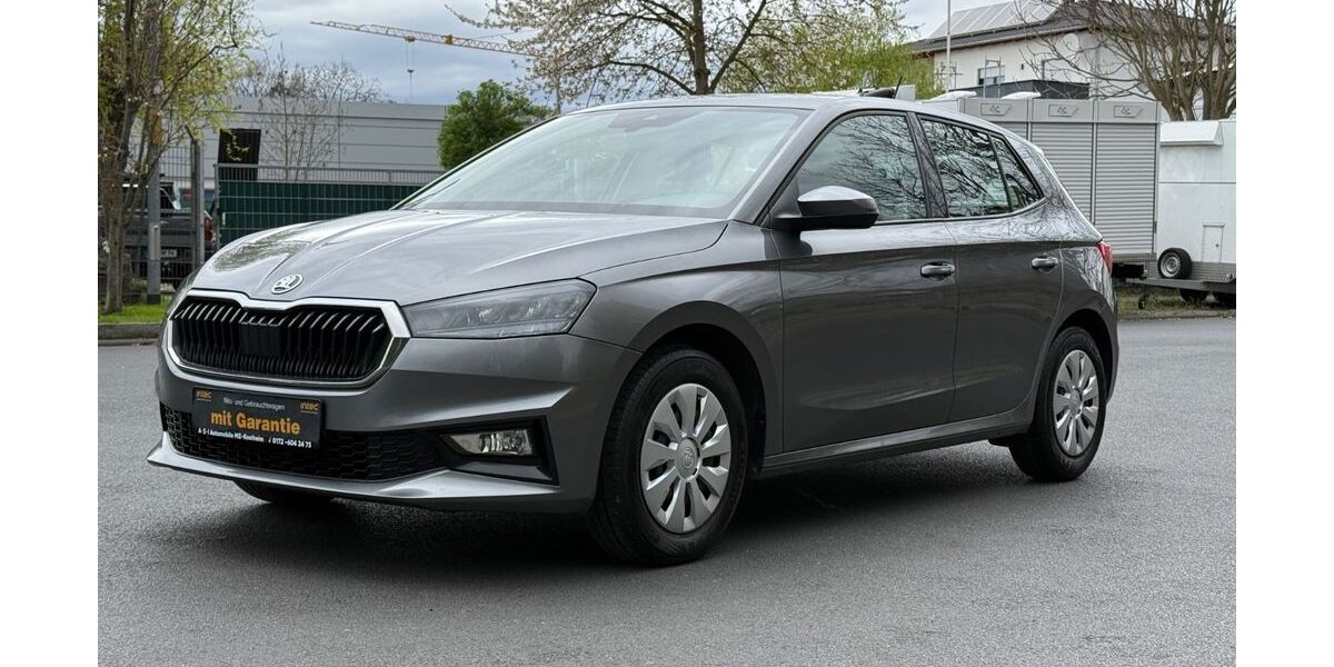 Skoda Fabia 99.000 km 11.700 &euro; Mainz-Kostheim 55246