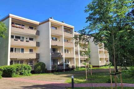 helle 4-Zi-Whg mit Balkon - perfekt für junge Familien - im 2. Stock von privat 4 zimmer