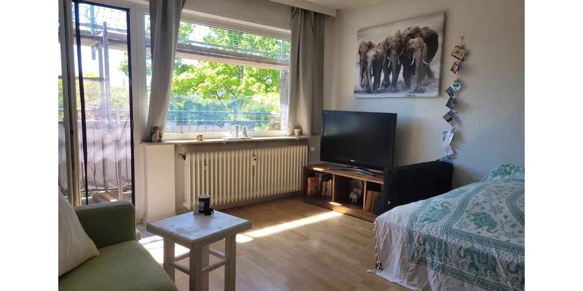 Etagenwohnung Wiesbaden Biebrich - 1 Zimmer, 34 m&sup2;, 590&euro; | Angebot:26339692