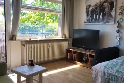 Wohnung Wiesbaden Biebrich - 1 Zimmer, 34 m&sup2;, 590&euro; | Angebot:26339692