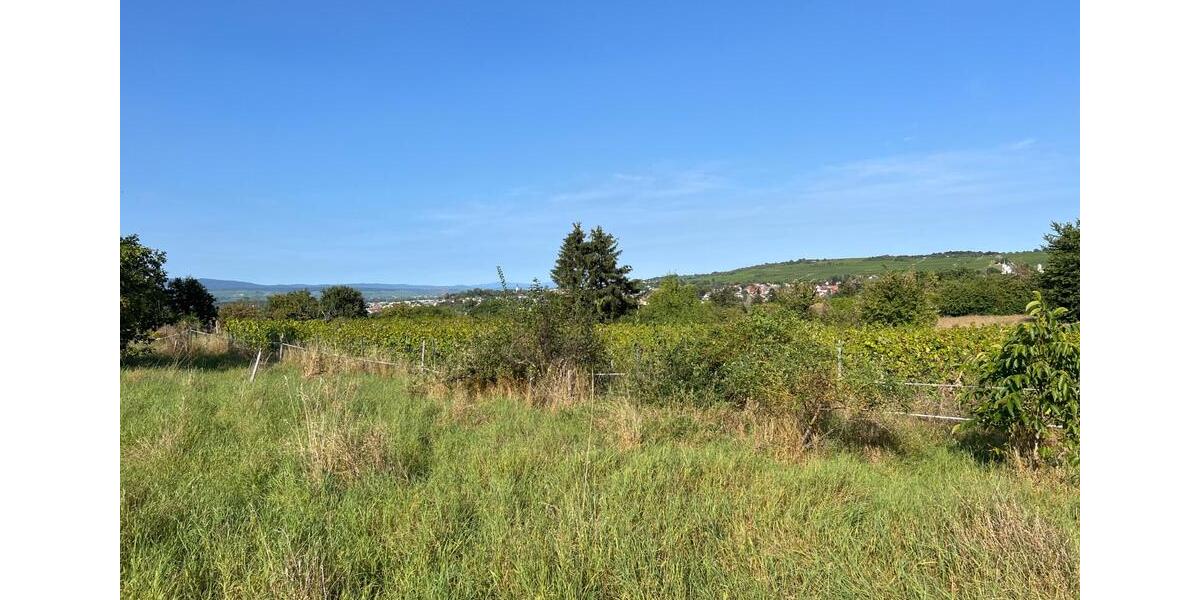 Grundstück Ingelheim am Rhein - 50&euro; | Angebot:20808490
