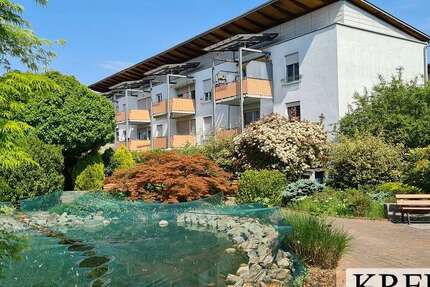 Wohnung zum Mieten in Bischofsheim 750 € 61 m² 2 zimmer