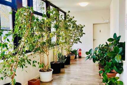 Büro in Groß-Gerau 1.100.000 € 338 m² zimmer