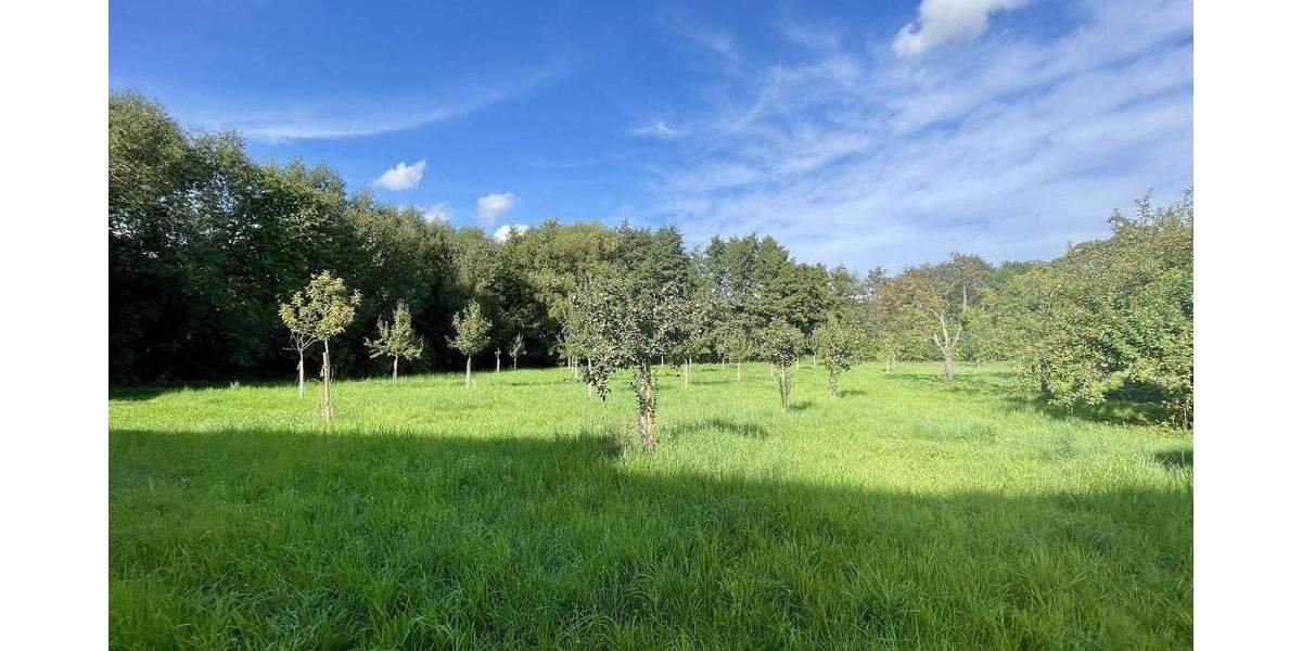 Etagenwohnung Kronberg - 2 Zimmer, 45 m&sup2;, 349.900&euro; | Angebot:25278879