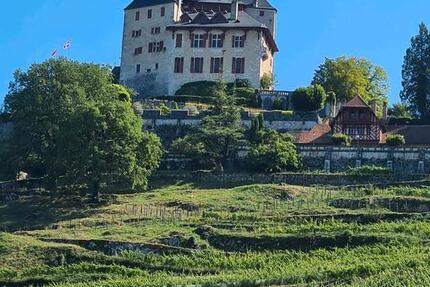 Traum(ferien)Wohnung 50 km von GENF 3 zimmer
