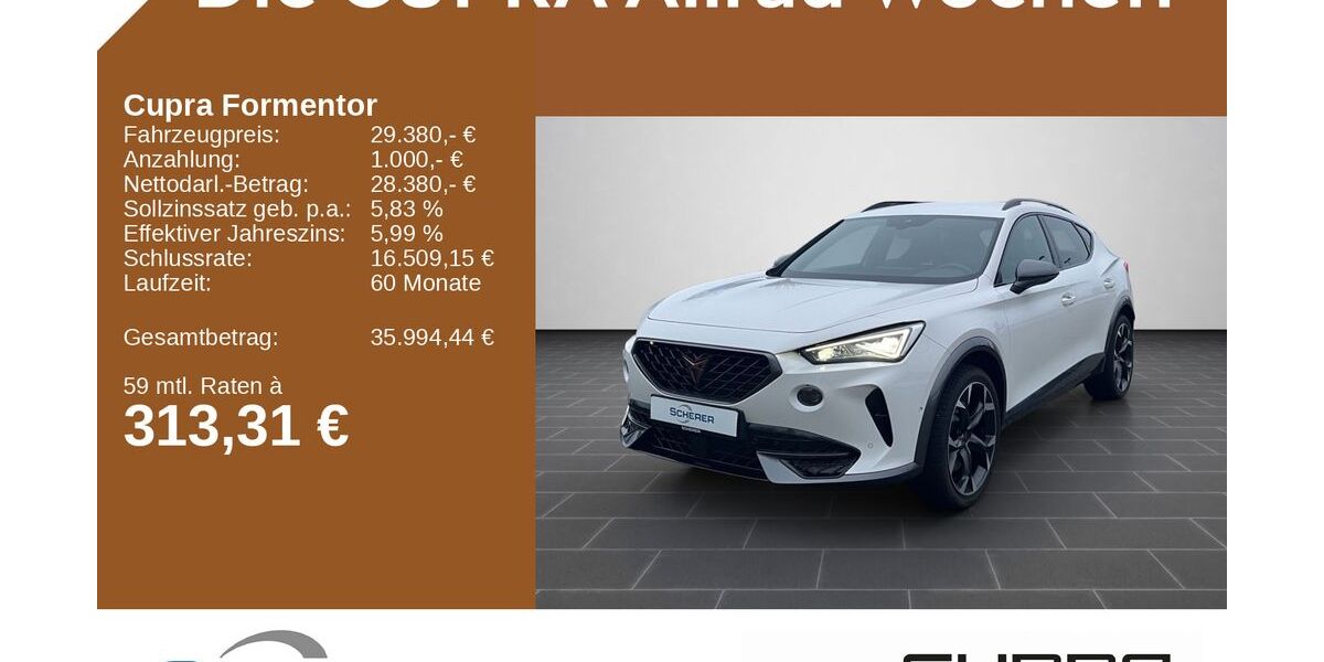 Cupra Formentor 48.624 km 29.380 &euro; Mainz 55129