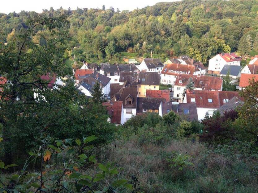 Total-Sanierung oder Neubau in Frauenstein