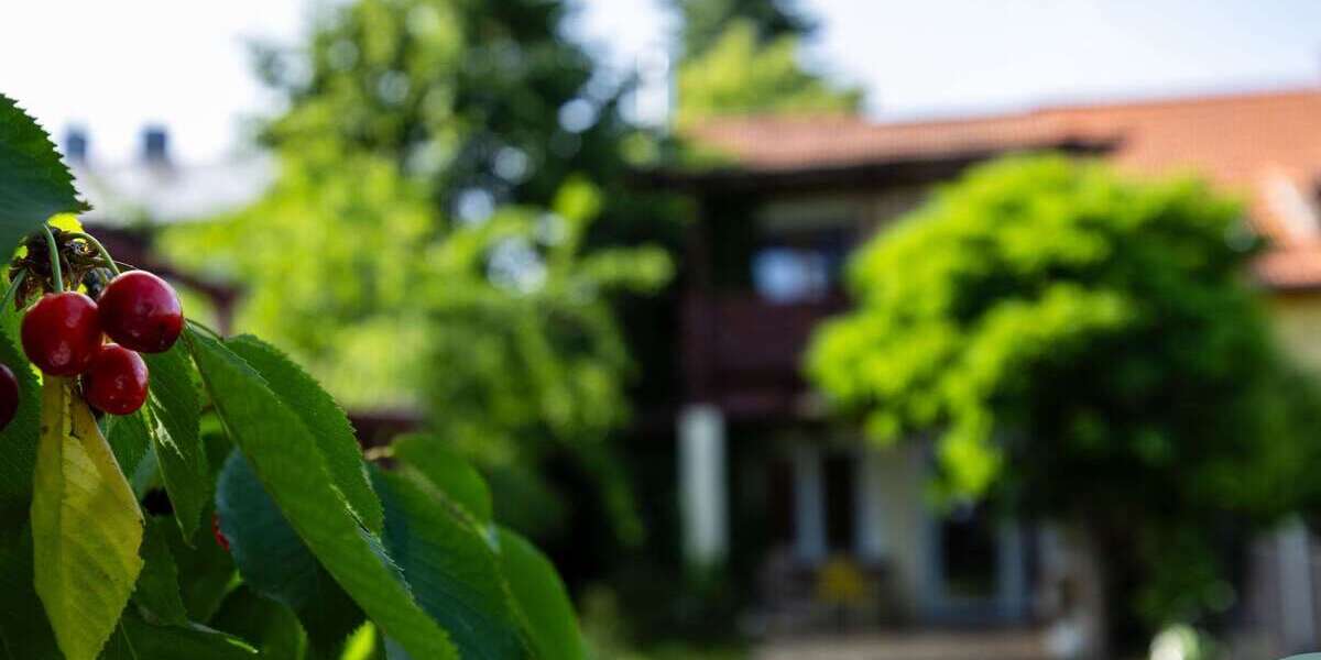 Einfamilienhaus Mainz Gonsenheim - 5 Zimmer, 134 m&sup2;, 729.000&euro; | Angebot:26858357