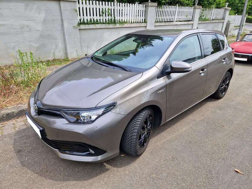 Auris