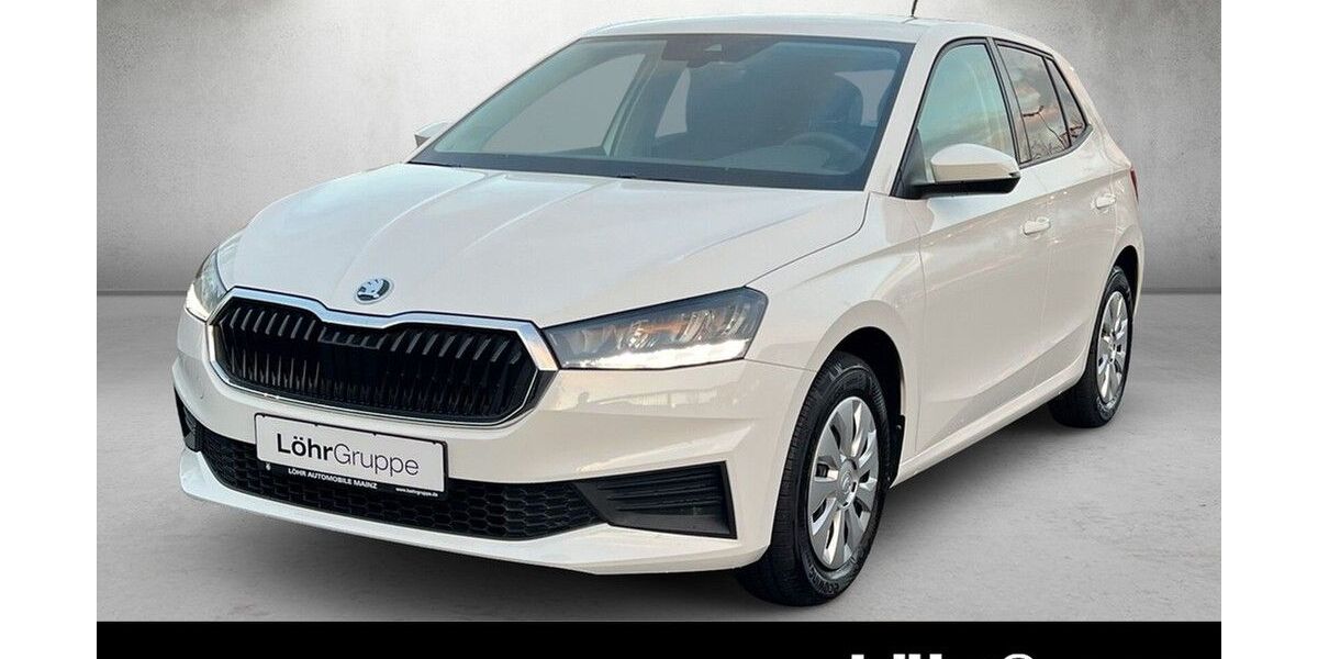 Skoda Fabia 13.439 km 14.780 &euro; Mainz 55120