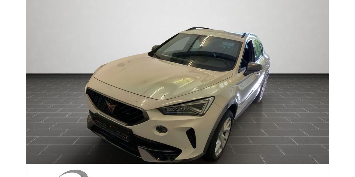 Cupra Formentor 36.773 km 26.280 &euro; Mainz 55129