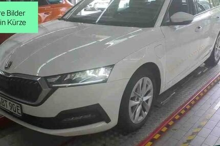 Skoda Octavia 59.590 km 21.930 € Hofheim im Taunus 65719
