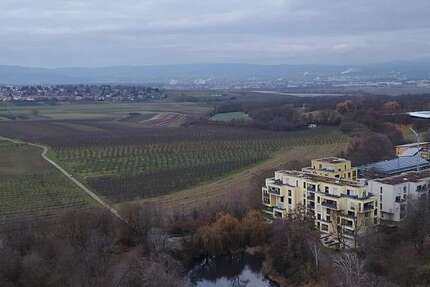 Wohnung Mainz Lerchenberg - 2 Zimmer, 56 m&sup2;, 185.000&euro; | Angebot:24406368