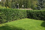 *Wohnkomfort auf allen Ebenen - ruhige Lage - moderne Ausstattung* - Doppelhaushälfte Bad Soden | Angebot:26832168