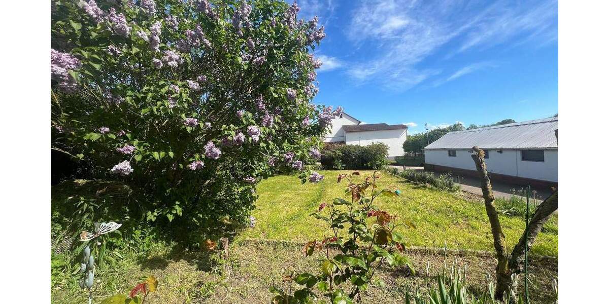 Mehrfamilienhaus, Wohnhaus Wiesbaden Biebrich - 1 Zimmer, 290 m&sup2;, 4.500&euro; | Angebot:25928938