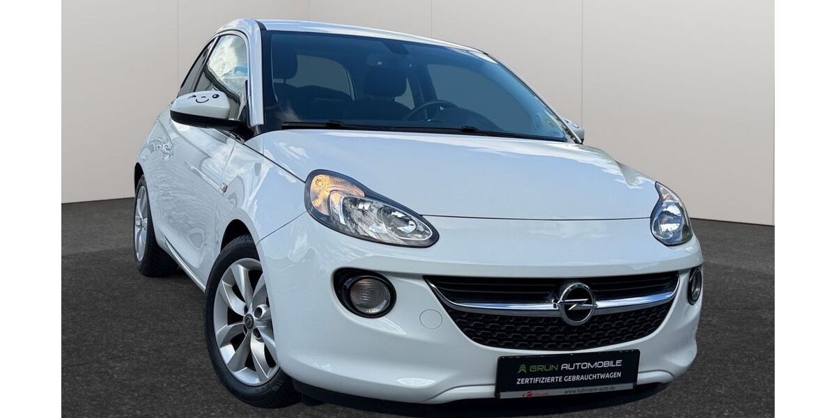 Opel Adam 78.000 km 7.495 &euro; Mainz 55129