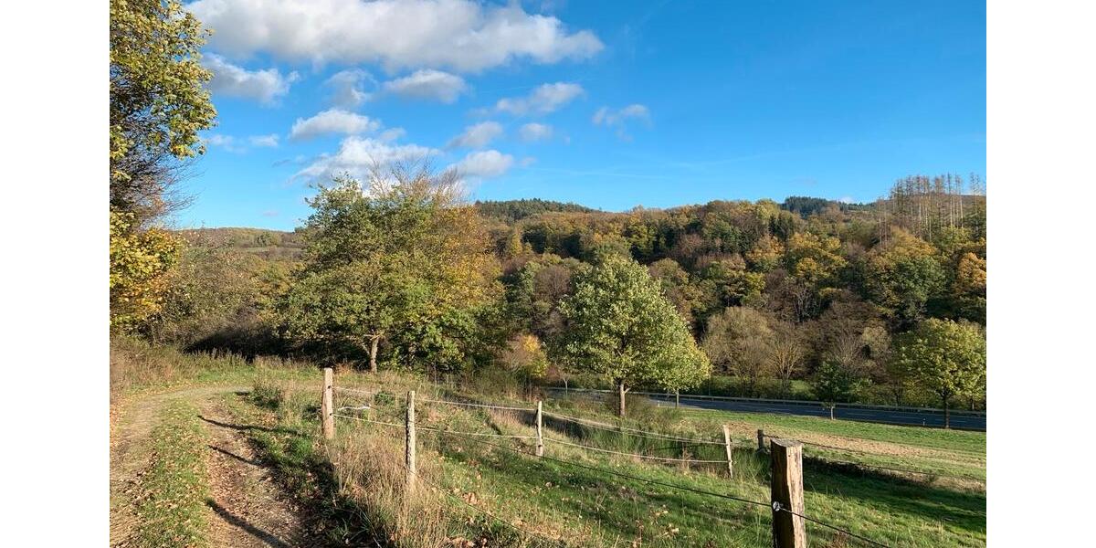 Einfamilienhaus Schmitten im Taunus - 8 Zimmer, 160 m&sup2;, 1.750&euro; | Angebot:26444370