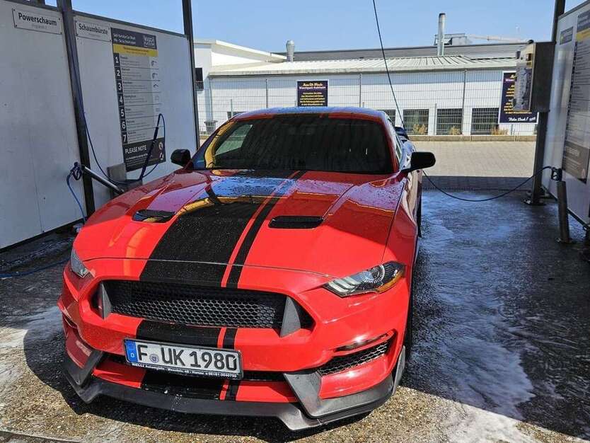 Mustang