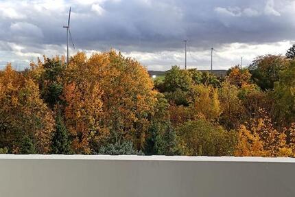 Wohnung Mainz Lerchenberg - 1 Zimmer, 29 m&sup2;, 129.000&euro; | Angebot:24852062