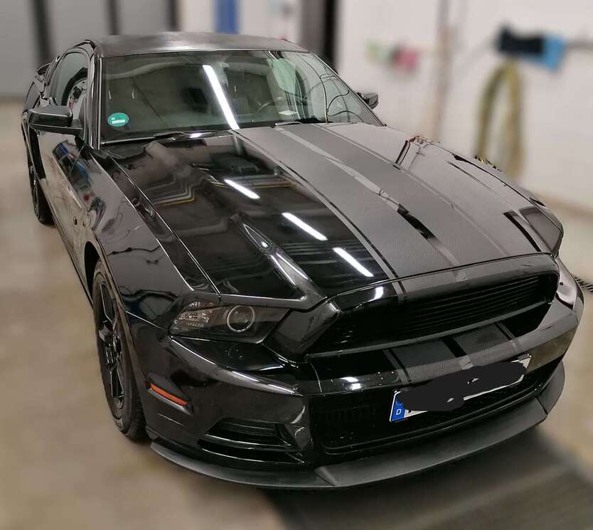 Mustang