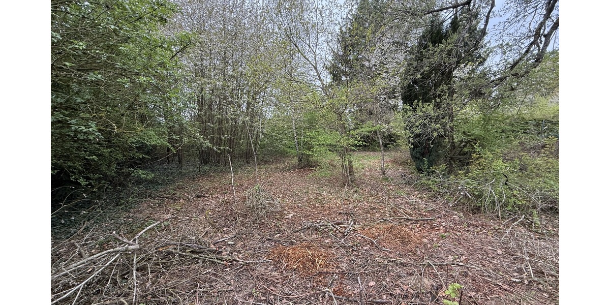 Kelkheim: Hier erfüllen Sie Ihren Traum! Idyllisches Grundstück im Wochenendgebiet - Grundstück Kelkheim | Angebot:26134206