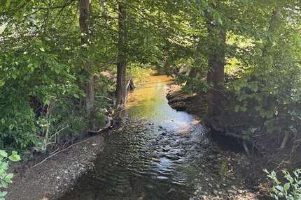 Gewerbeobjekt Sulzbach - 975.000&euro; | Angebot:24951756