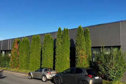 Gewerbefläche in Miehlen, 1.000 m² Halle + optional 300 m² Büro zimmer