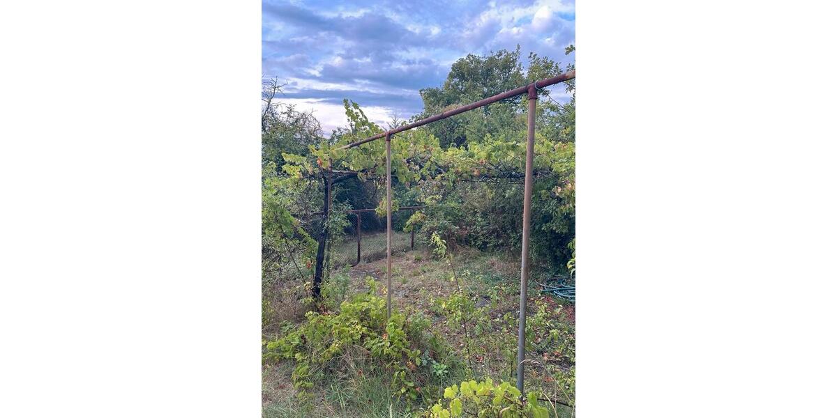 Grundstück Ingelheim am Rhein Heidesheim am Rhein - 220&euro; | Angebot:26323401