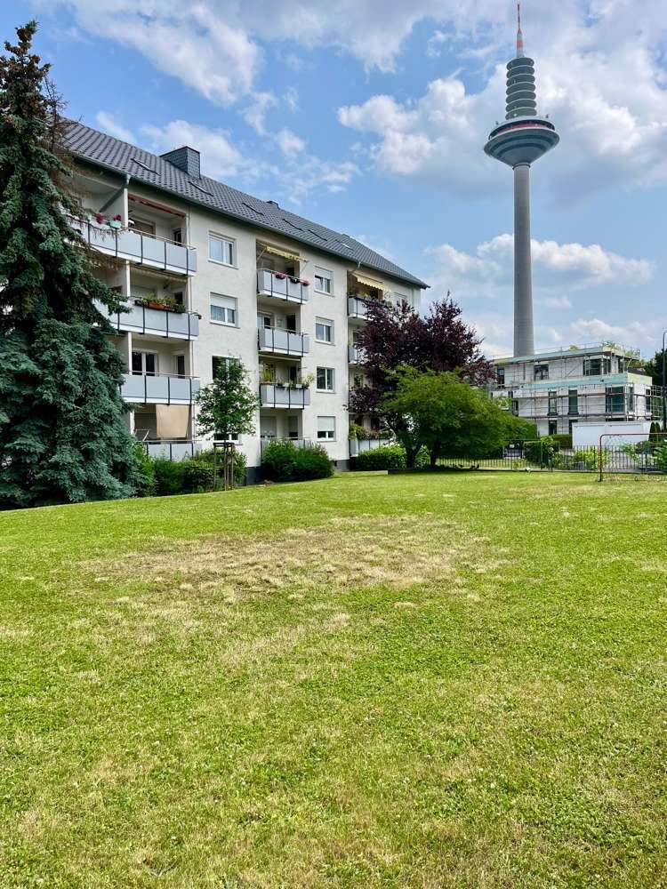 Wohnung zum Kaufen in Frankfurt am Main Ginnheim 279.000 € 63.59 m²