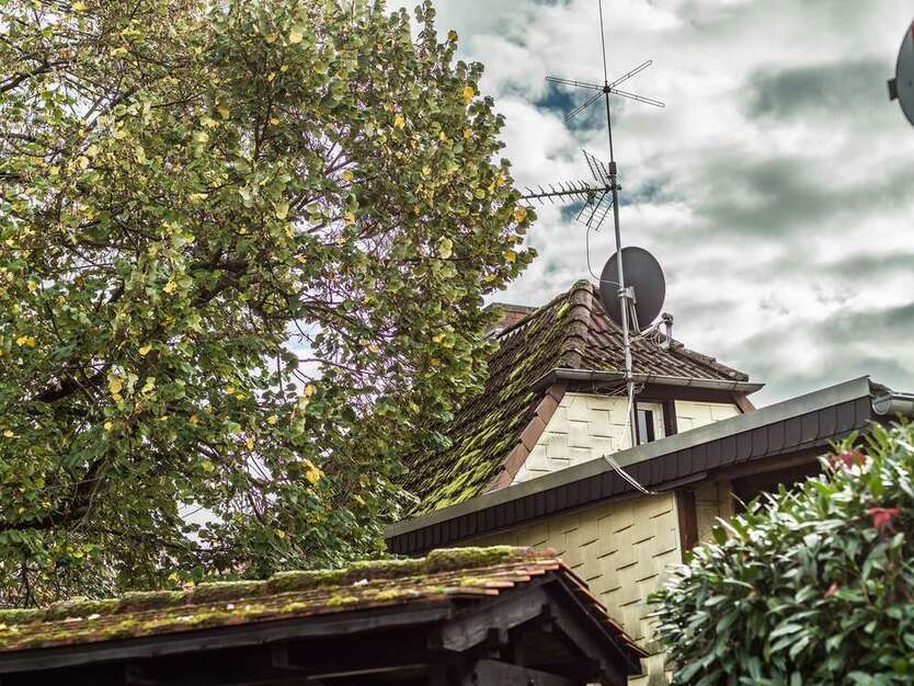 Haus zum Kaufen in Wiesbaden 499.000 € 135 m²