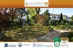 Bungalow Mainz / Mombach Mombach - 5 Zimmer, 122 m&sup2;, 700.000&euro; | Angebot:26643860