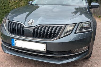 Skoda Octavia 96.000 km 14.890 &euro; Mainz 55127