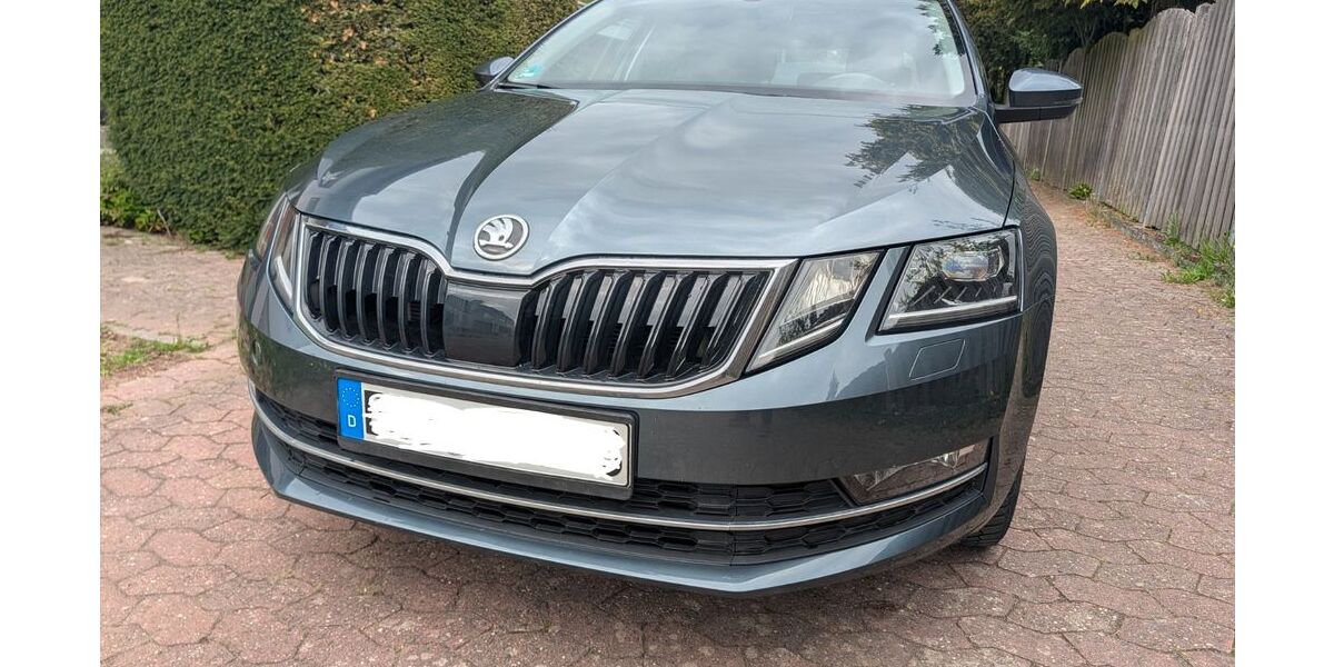 Skoda Octavia 96.000 km 14.890 &euro; Mainz 55127