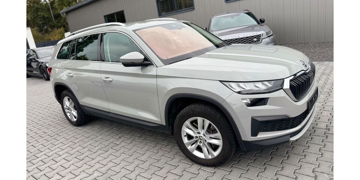 Skoda Kodiaq 102.900 km 28.900 &euro; Rüsselsheim 65428