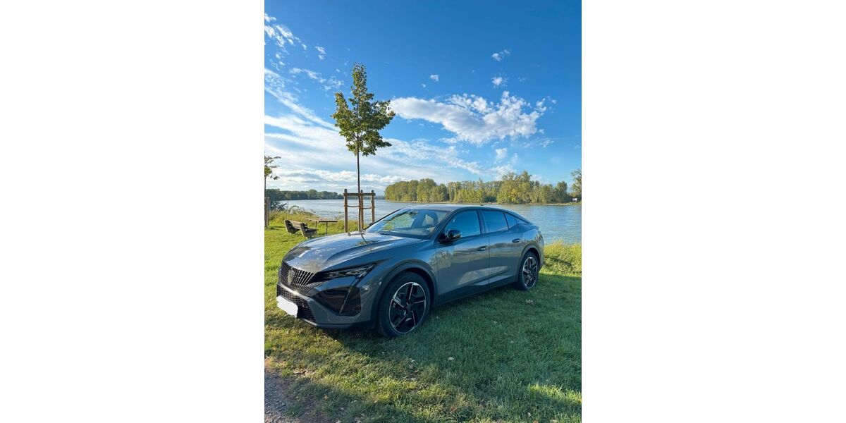 Peugeot 408 6.000 km 42.499 € Oppenheim 55276