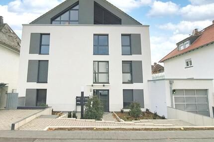 große 2-Zimmer-Wohnung in Mainz-Kastel: Neubau 2023, Balkon, Einbauküche, Tiefgarage 2 zimmer