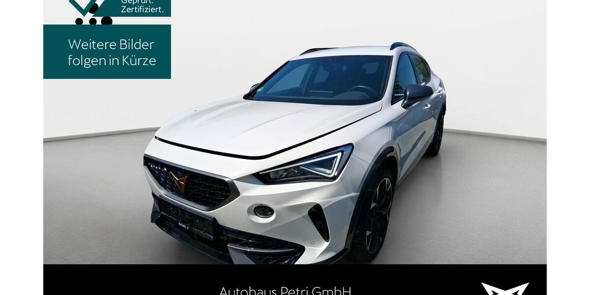 Cupra Formentor 29.353 km 28.940 &euro; Hofheim-Diedenbergen 65719