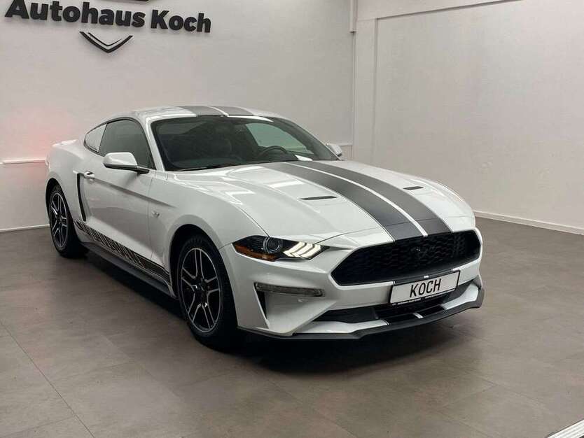 Mustang