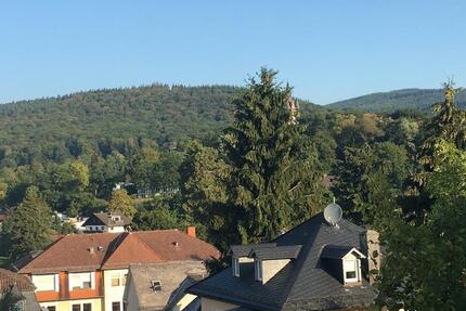 2-ZI Whg.Stadtmitte Königstein - provisionsfrei 2 zimmer