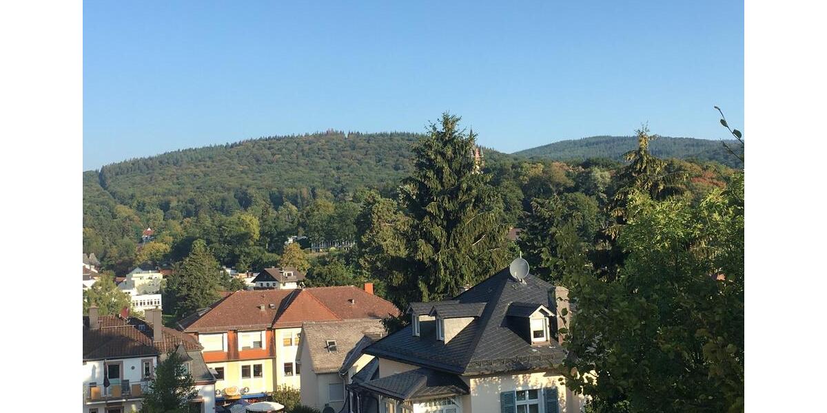 2-ZI Whg.Stadtmitte Königstein - provisionsfrei 2 zimmer