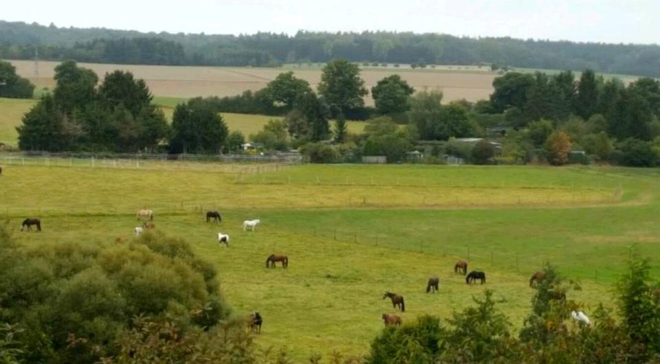 Etagenwohnung Taunusstein - 3 Zimmer, 80 m&sup2;, 198.000&euro; | Angebot:25476782