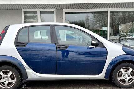 Smart forFour 133.000 km 899 &euro; Mainz-Kastel 55252