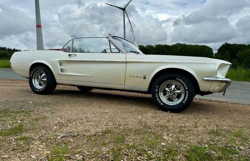 Mustang