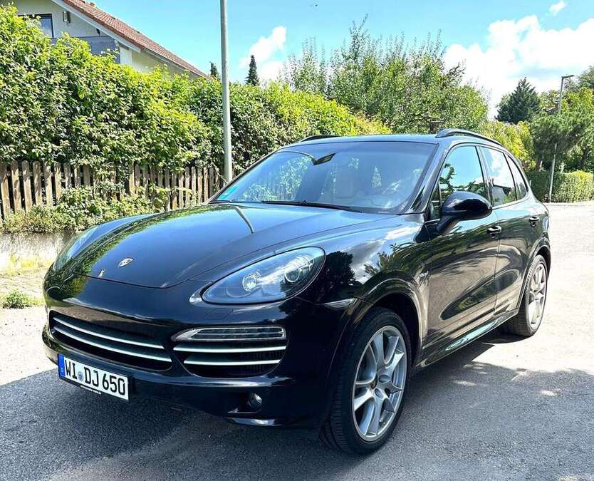 Cayenne