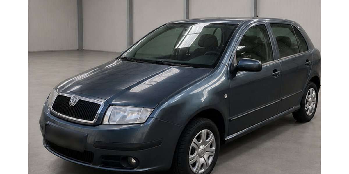 Skoda Fabia 89.635 km 3.390 &euro; Hofheim (Taunus) 65719