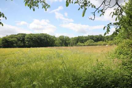 Grundstück zu verkaufen in Kelkheim 1.490.000 € 1297 m² zimmer