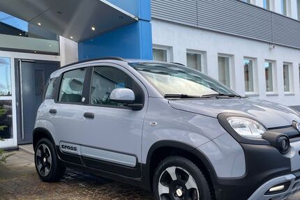 Fiat Panda 28.900 km 10.890 &euro; Mainz-Mombach 55120